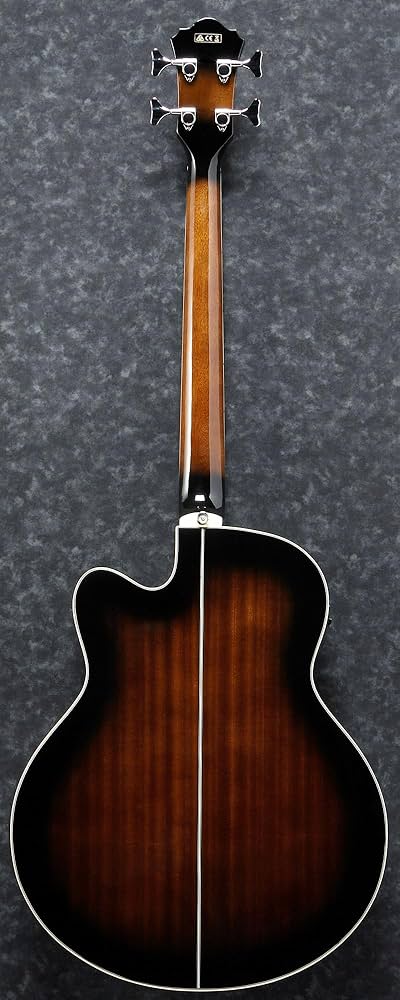 Ibanez AEB10 エレアコベース　アコベ　アコースティック Ibanez AEB10E Acoustic-Electric Bass Guitar With Onboard